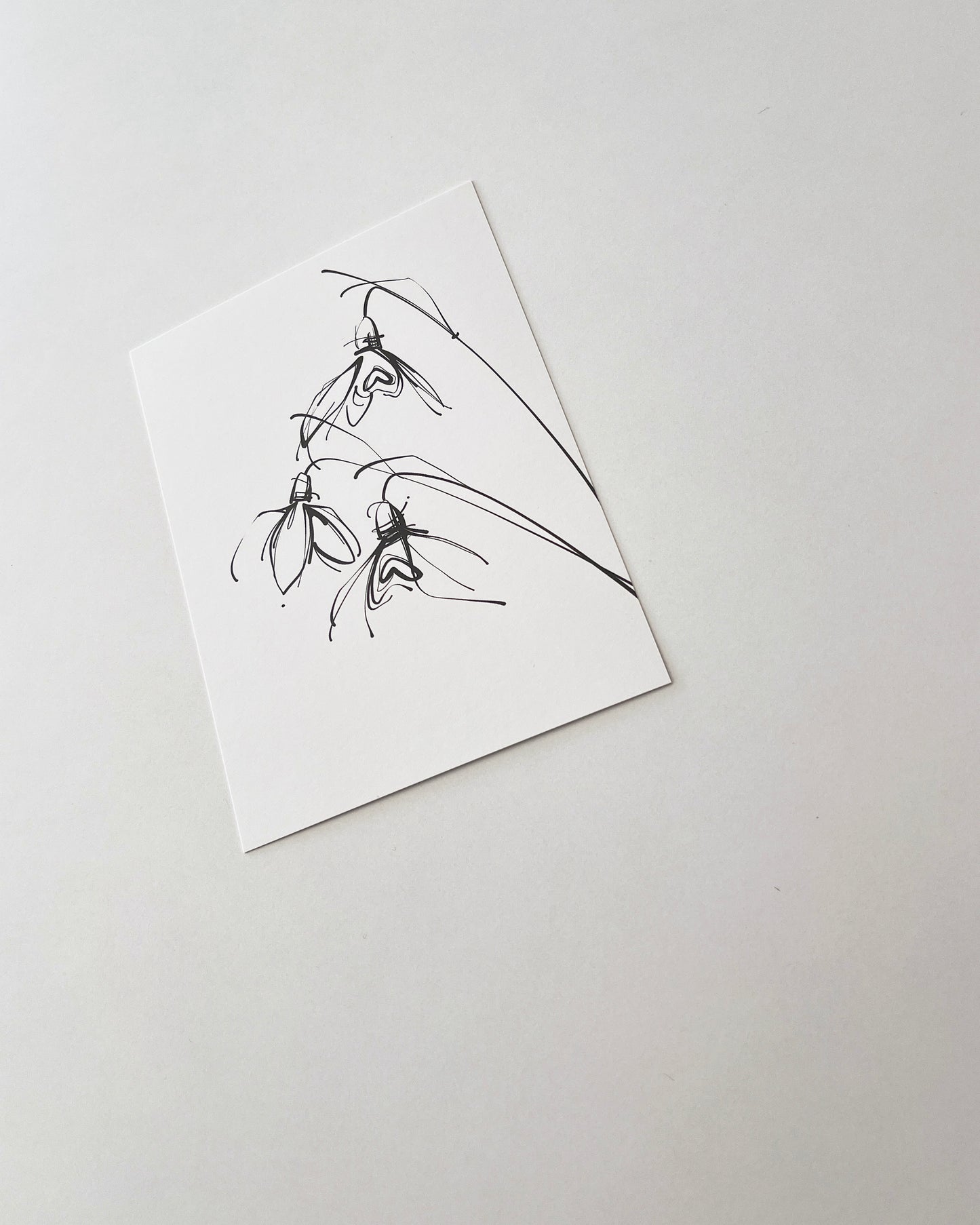 POSTCARD _01