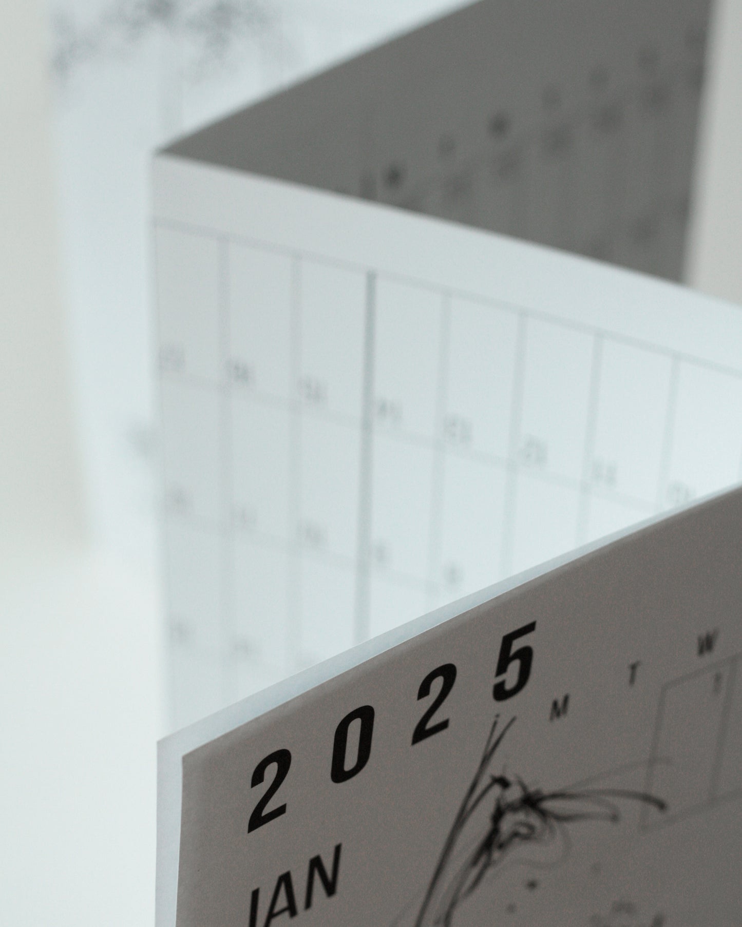 2025 YEARLY WALL PLANNER