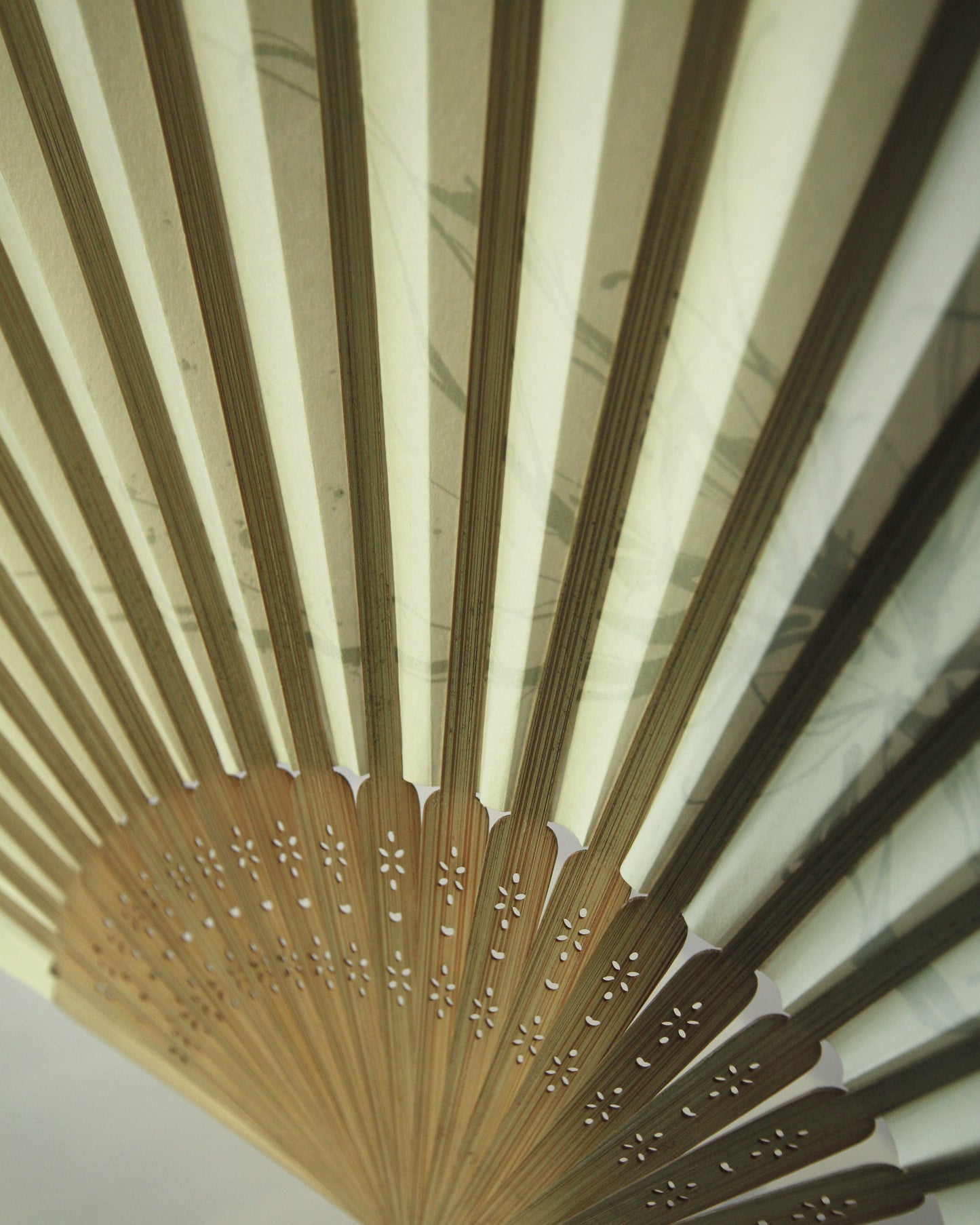 Blooms in the Wind _01