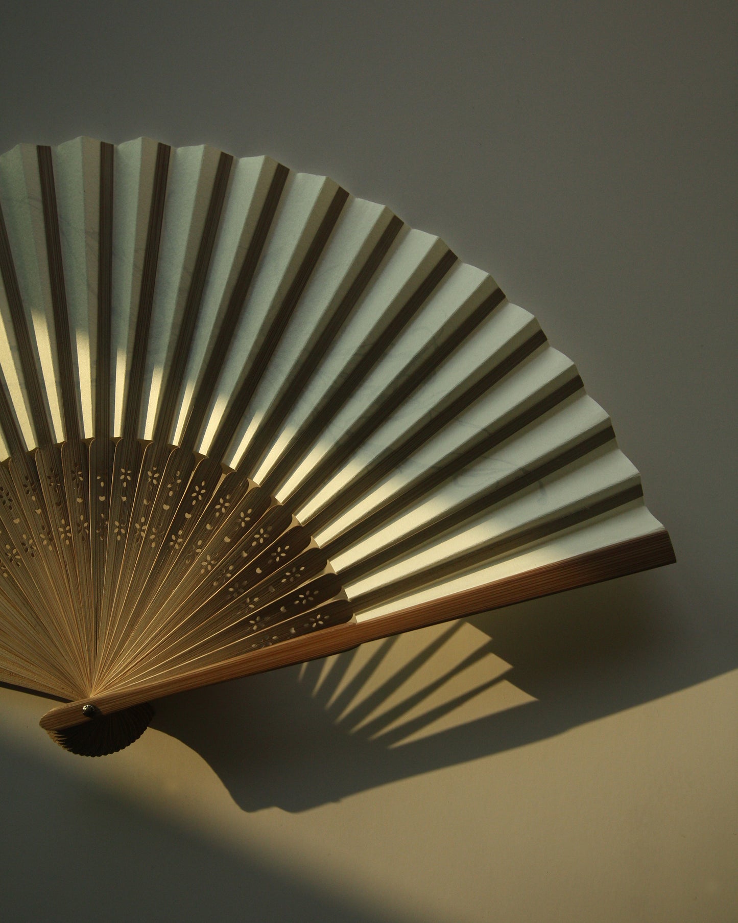 Blooms in the Wind _01