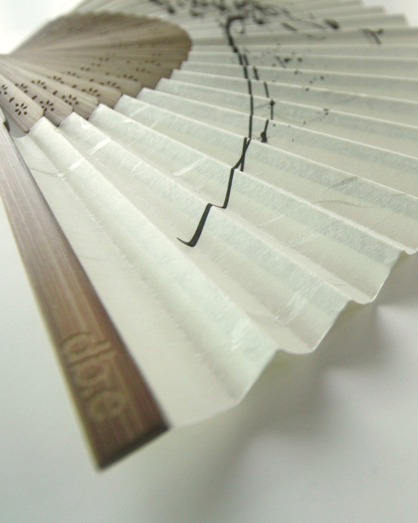 Blooms in the Wind _01