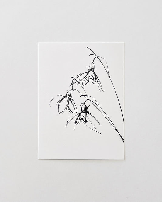 POSTCARD _01