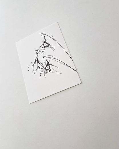 POSTCARD _01