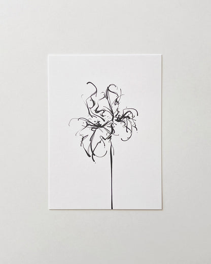 POSTCARD _02